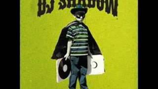 Dj Shadow  Hindsight [upl. by Assirim]