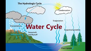 WATER CYCLE  EVAPORATION  TRANSPIRATION  CONDENSATION  PRECIPITATION  INFILTRATION [upl. by Hcirteid94]