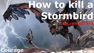 Horizon Zero DawnHow to kill a Stormbird using Ropecaster and FirePrecision ArrowPS4PRO Gameplay [upl. by Leahcimal328]