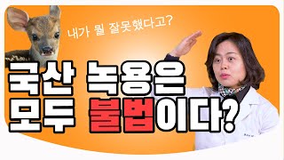 녹용의 효능 원산지 종류feat 녹각  의사친 한의사 이정아 [upl. by Vachell]