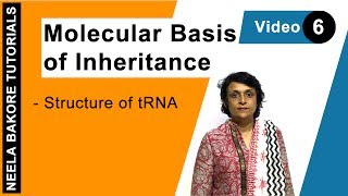 Molecular Basis of Inheritance  NEET  Structure of tRNA  Neela Bakore Tutorials [upl. by Janyte442]