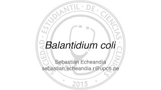 Balantidium coli [upl. by Nav]