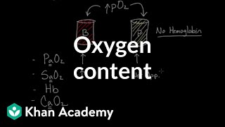 Oxygen content  Human anatomy and physiology  Health amp Medicine  Khan Academy [upl. by Stine]