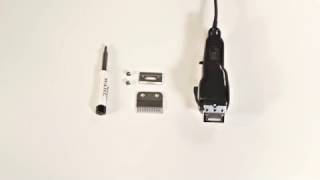 WAHL How To Replace a 2 Hole Clipper Blade [upl. by Ardnazil]