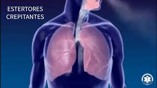 Semiologia  Ausculta Pulmonar ESTERTORES CREPITANTES [upl. by Bartram129]