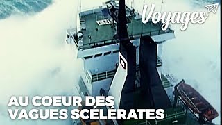 Au coeur des tempêtes  Documentaire [upl. by Arratoon41]