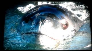 The Story Behind quotSnuffy The Sealquot Discovery Channel [upl. by Mariska]