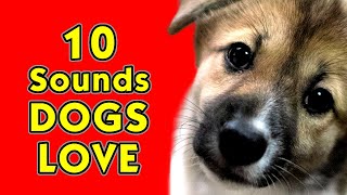 10 Sounds that Dogs love the most [upl. by Massab]