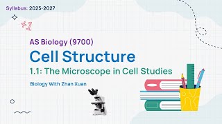 ALevel AS Biology 9700  Chapter 1 Cell Structure  The Microscope in Cell Studies [upl. by Tnecillim]