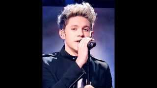 One Direction Imagine Niall Horan Part 2 with videos [upl. by Leshia825]