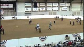 Couglin 2 yr old snaffle bit futurity limited Finals [upl. by Esir]