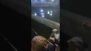 Nikmat nya tarikan ikan mantaap👍👍 [upl. by Vin]