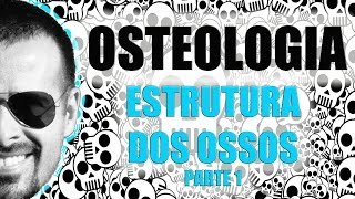 Sistema Esquelético  Estrutura dos ossos longos Parte 12  Anatomia Humana  VídeoAula 006 [upl. by Nytsrik]