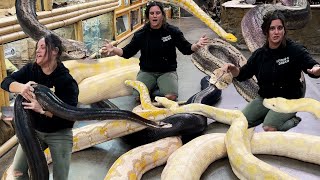 Moving GIANT Snakes at the Zoo😅🐍 [upl. by Atekihs94]