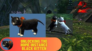 How to unlock a black kitten  Home Instance cats  Guild Wars 2 [upl. by Meakem200]