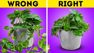 Plant Care Secrets Grow Your Plants Better with These Genius Hacks [upl. by Assed]