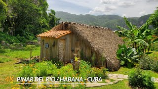 【4K】Cuba and its Western landscapes Pinar del RioVinalesLas Terrazas and La HabanaJuly 2024 [upl. by Yllrebmik]