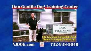 Dan Gentile Dog Training Center [upl. by Remmos]