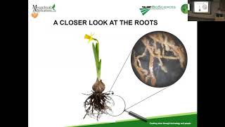 Jozsef Racsko The use of mycorrhizal fungi in horticulture [upl. by Derk]