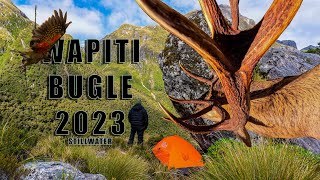 WAPITI BUGLE 2023SOLOFIORDLAND HUNTING NZ STILLWATER BALLOT PART 1 OF 2 EP7 S2 [upl. by Edlitam952]