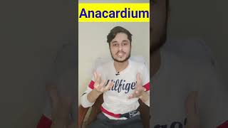 Anacardium Homeopathic Medicine shorts youtubeshorts [upl. by Ettedanreb]