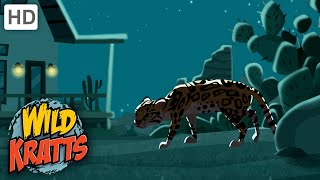 Wild Kratts  Searching For An Ocelot  Animals [upl. by Oxford]