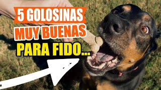 5 GOLOSINAS que son Realmente BUENAS para tu PERRO🐶🧊 [upl. by Tiloine303]