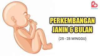 Perkembangan Janin yang Ideal Usia 6 Bulan [upl. by Aenej]