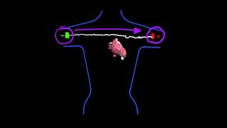 CURSO DE ELECTROCARDIOGRAFIA 06  TERMINOLOGÍA ELECTROCARDIOGRÁFICA DE LA DIRECCIÓN VECTORIAL [upl. by Eittocs]