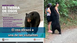 Oso sorprende a visitantes de Chipinque en Nuevo León [upl. by Lhadnek]