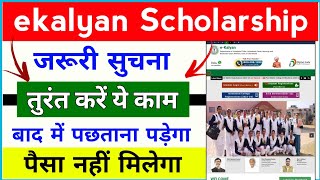 ekalyan Scholarship New update 🔥 तुरंत करो ये काम 🫡  ekalyan Scholarship 2024 paisa kab milega 💸 [upl. by Kandace]