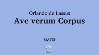 Orlando de Lassus  Ave verum Corpus [upl. by Llebyram]