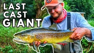 Fly Fishing The Chalkstream River Itchen In England For Brown Trout With Fishing Breaks Day 2 [upl. by Gaddi303]