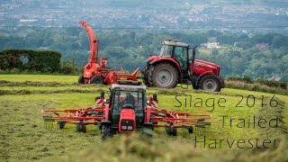 Silage 2016 with trailed harvester  4K [upl. by Burack]