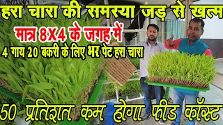 बिना जमीन के करें 8x4 जगह में हाइड्रोपोनिक तकनीक द्वारा हरा चारा उत्पादन Hydroponic Farming At Home [upl. by Ahsiekrats]