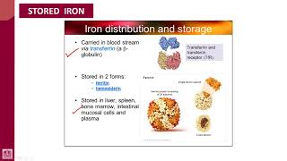 Hematology  1  U7L4  Stored Iron [upl. by Dolly]