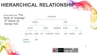 Lecture 6 What is HyponymyWhat is super ordinate and cohyponyms [upl. by Nitas]