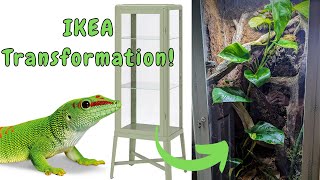 Lizard Lives in IKEA Furniture Now  DIY IKEA greenhouse  Turning an Ikea Cabinet into a Terrarium [upl. by Demodena]