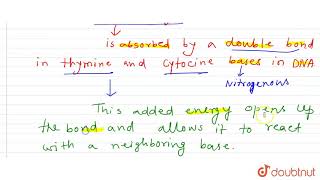 Mention True or False UV rays produce thymine dimers in DNA  12  MECHANISM OF EVOLUTION  B [upl. by Odranreb]