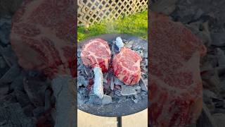 Steaks on the Coals  Over The Fire Cooking by Derek Wolf [upl. by Older]