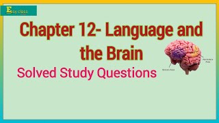 CHAPTER 12 Language amp the brain by G Yule The Study of Language [upl. by Eelsel86]