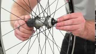 How to service your Shimano hubs [upl. by Luba]