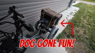 Took my dog for a ride on the Mooncool TK1 Folding Trike [upl. by Negroj]