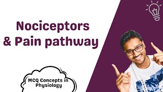 Nociceptors amp Pain pathway  MCQ concepts [upl. by Nitsir]