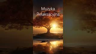 Muzyka Relaksacyjna do nauki i koncentracji 🍀 Fale alfa 🍀 432Hz [upl. by Anilek]