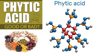 Phytic Acid  In Which Foods Will We Find It  Why Should We Be Careful  How Useful Is It [upl. by Ameh183]