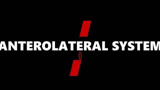 Anterolateral System ALS Pathway [upl. by Zuckerman]