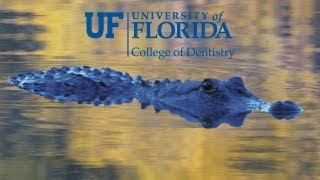 University of Florida College of Dentistry Virtual Tour [upl. by Brechtel]