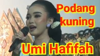 Podang kuning Umi hafifah duet Elisa orcarus [upl. by Kirshbaum490]