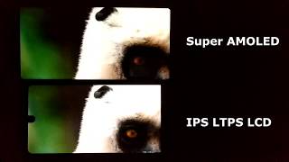 Super Amoled vs IPS Display Test [upl. by Iarised90]